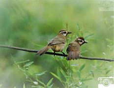 包含鵄5?j3顥|n鈵?$颊?-翳黽忋叧(