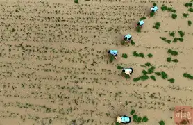 包含风云突变！广东宏远今夜更衣室发声，法国杯版图或变，赛场秩序良好，数据趋势出现新变化的词条