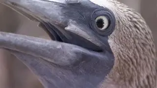 =*s鑙	.?B猀E＃C_